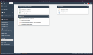 Widok modułu zestawień w systemie VSS.net z analizą transportów, awizacji i wskaźników KPI.