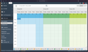 Tygodniowy harmonogram ramp w systemie VSS.net prezentujący plan pracy stanowisk załadunku i rozładunku.