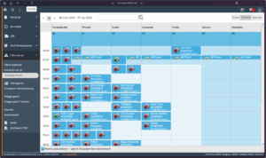 Tygodniowy harmonogram awizacji bram w systemie VSS.net przedstawiający zaplanowane wjazdy pojazdów ciężarowych.