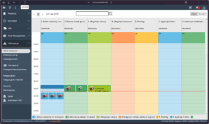 Harmonogram awizacji transportów w systemie VSS.net z podziałem na etapy procesu logistycznego.
