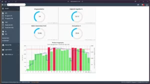 Systemy magazynowe oferują wszechstronne rozwiązania dla firm z różnych branż